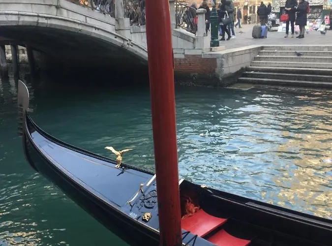 Beautiful Greysclass *