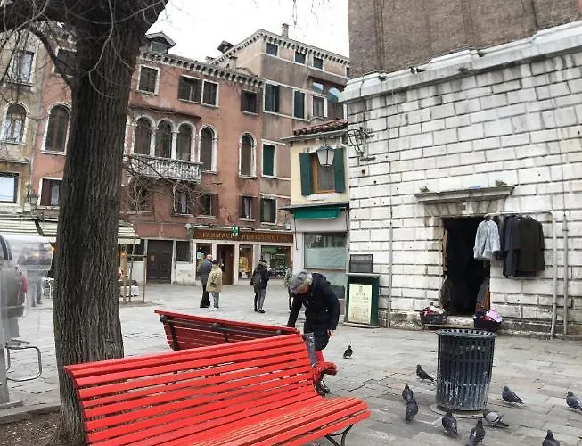 Beautiful Greysclass Venecia