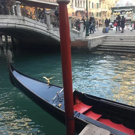 Beautiful Greysclass *