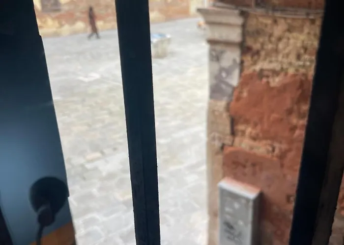 Beautiful Greysclass *